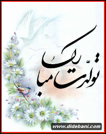 سایت دیده بانی یکساله شد